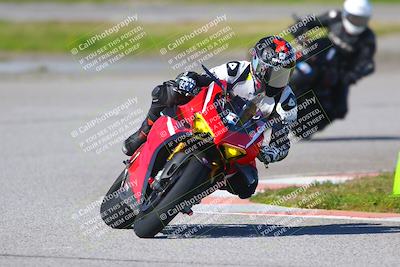 media/Jan-20-2023-Fastrack Riders (Fri) [[f2ad32aba3]]/Level 1/session 4 turn 6/